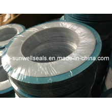 PTFE Envelope Gasket (SUNWELL 1320)